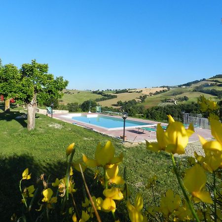 Agriturismo Dai Mori Isola del Piano Zewnętrze zdjęcie