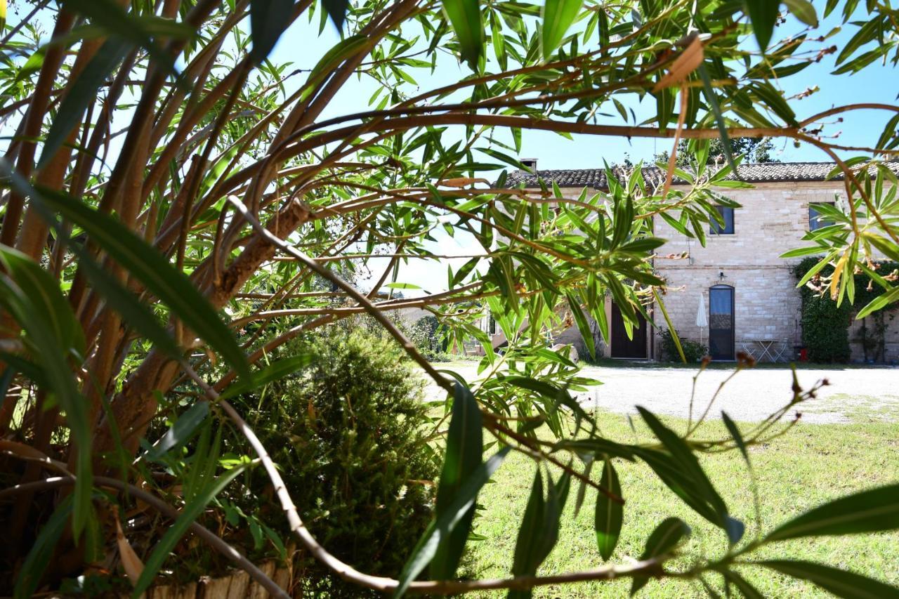 Agriturismo Dai Mori Isola del Piano Zewnętrze zdjęcie
